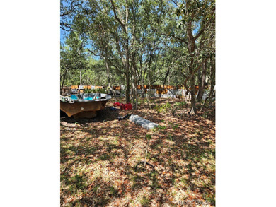 Enjoy the Privacy of This Completely Fenced 1.64 Acre Parcel - photo 12