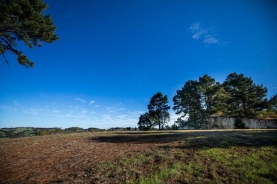 THE ROCK | Lot 29 MLS In the exclusive Tehama community - photo 13