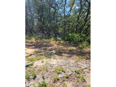 Enjoy the Privacy of This Completely Fenced 1.64 Acre Parcel - photo 14