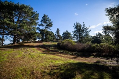 THE ROCK | Lot 29 MLS In the exclusive Tehama community - photo 15
