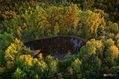 Lake Palestine Ranch is a rare offering, being the largest - photo 15
