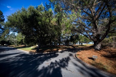 THE ROCK | Lot 29 MLS In the exclusive Tehama community - photo 16