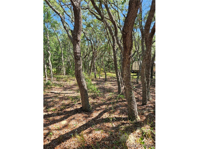 Enjoy the Privacy of This Completely Fenced 1.64 Acre Parcel - photo 16