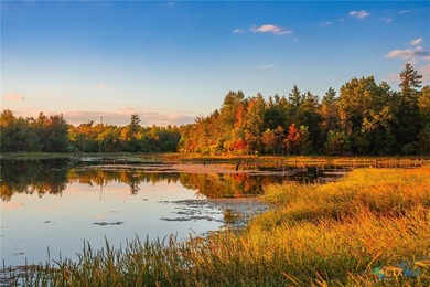 Lake Palestine Ranch is a rare offering, being the largest - photo 17