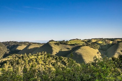 THE ROCK | Lot 29 MLS In the exclusive Tehama community - photo 18