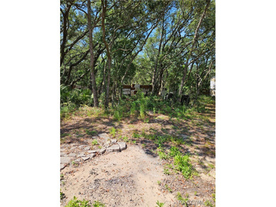 Enjoy the Privacy of This Completely Fenced 1.64 Acre Parcel - photo 18