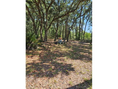 Enjoy the Privacy of This Completely Fenced 1.64 Acre Parcel - photo 19