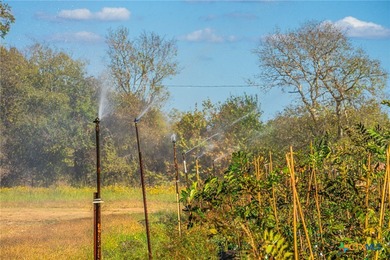 Lake Palestine Ranch is a rare offering, being the largest - photo 39