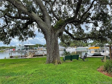 Enjoy true waterfront living-without the maintenance headaches - photo 4
