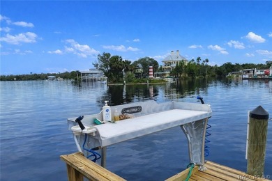 Enjoy true waterfront living-without the maintenance headaches - photo 6