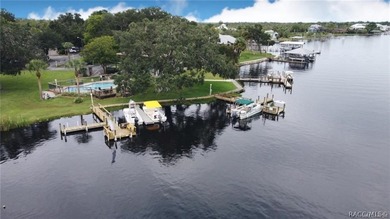 Enjoy true waterfront living-without the maintenance headaches - photo 8