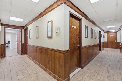 20 W Park Avenue, Long Beach, NY 11561 is an iconic, historic - photo 8