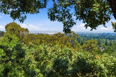 Situated in sought-after Emerald Hills, this thoughtfully - photo 3