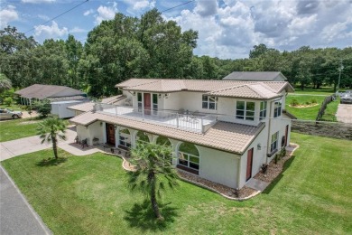 Little Lake Weir Home For Sale in Summerfield Florida