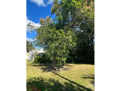 CASH ONLY. RESIDENTIAL beautiful quiet Biscayne Park....6325 sq - photo 3