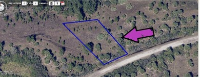 Oversized lot for your dream oversized home .don't miss out - photo 1