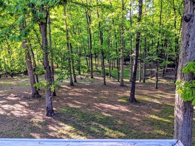 Recently updated with a brand new roof, fresh paint, perfectly - photo 44