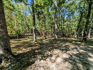 Recently updated with a brand new roof, fresh paint, perfectly - photo 48