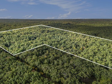 Lake Acreage Sale Pending in Fountain, Michigan