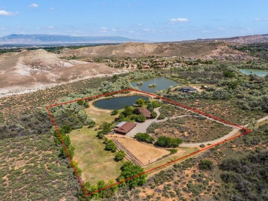 (private lake, pond, creek) Home For Sale in Grand Junction Colorado