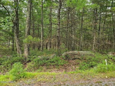 Lake Lot For Sale in Tafton, Pennsylvania