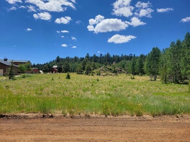 Navajo Lake Lot For Sale in Duck Creek Utah