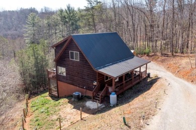 Lake Home For Sale in Hiawassee, Georgia