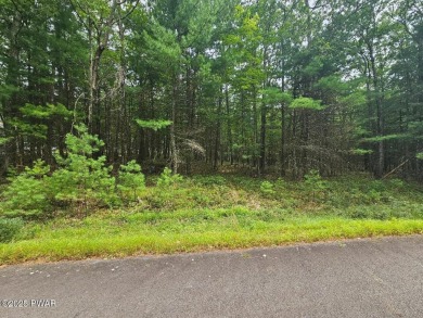 Lake Lot For Sale in Tafton, Pennsylvania