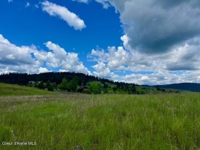 Coeur d Alene Lake Lot For Sale in Coeur d Alene Idaho