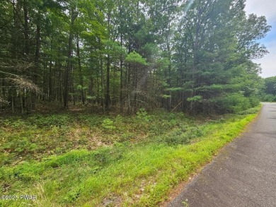 Lake Lot For Sale in Tafton, Pennsylvania