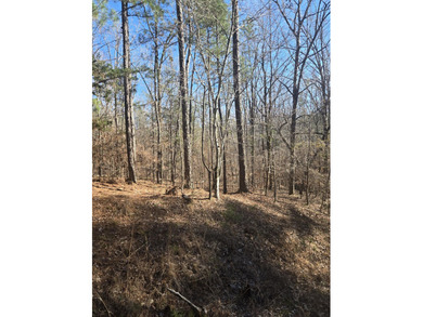 Strom Thurmond / Clarks Hill Lake Lot For Sale in Lincolnton Georgia