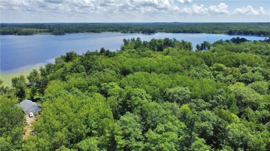 Lake Acreage For Sale in Farm Island Twp, Minnesota