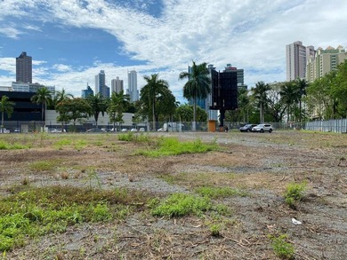 Costa del Este, one of the most prestigious and developed areas - photo 2