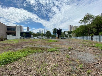 Costa del Este, one of the most prestigious and developed areas - photo 5