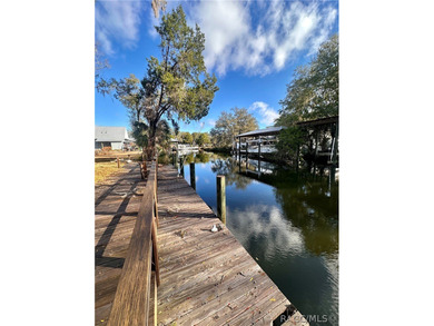 Homosassa River Home For Sale in Homosassa Florida