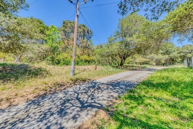 Offered for the first time in its history, this extraordinary 38 - photo 6