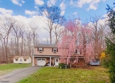Lake Home For Sale in Hopatcong, New Jersey