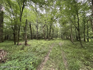 If you've been searching for a manageable hunting property with - photo 1