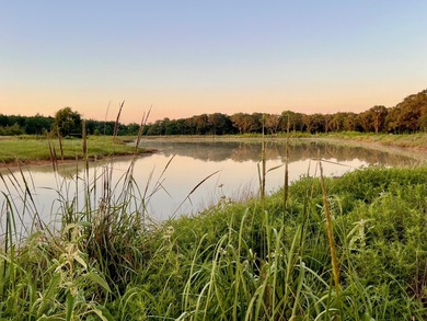 (private lake, pond, creek) Lot For Sale in Colbert Oklahoma