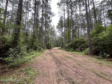 If you've been searching for a manageable hunting property with - photo 5