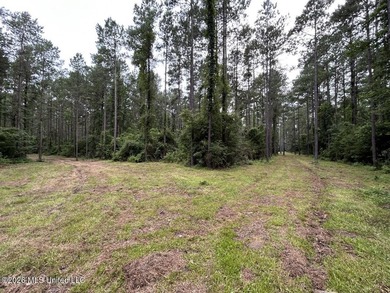 If you've been searching for a manageable hunting property with - photo 7