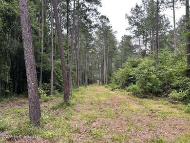 If you've been searching for a manageable hunting property with - photo 9