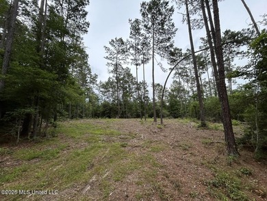 If you've been searching for a manageable hunting property with - photo 10