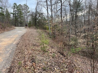 Lake Hiwassee Lot For Sale in Murphy North Carolina