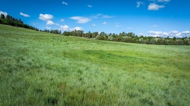 Bear Ridge Compound is a 120-acre turnkey property on Bear Ridge - photo 27