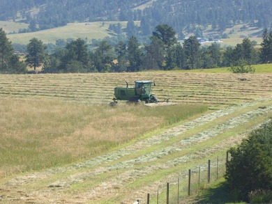 Bear Ridge Compound is a 120-acre turnkey property on Bear Ridge - photo 49
