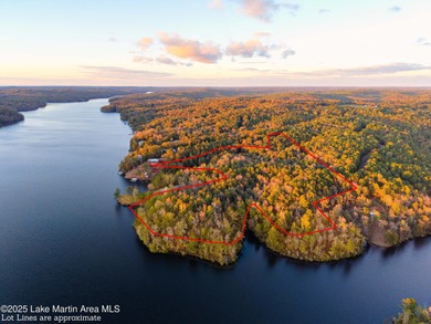 Welcome to Yates Lake! With 21 +/- acres and 2,000 +/- of - photo 2