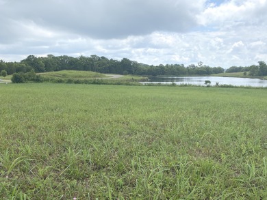 Lakefront Luxury. Secluded Setting. Premier Living. Discover the - photo 2