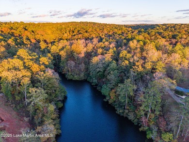 Welcome to Yates Lake! With 21 +/- acres and 2,000 +/- of - photo 4