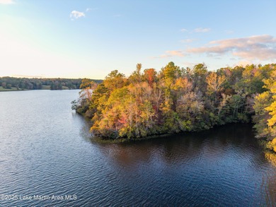 Welcome to Yates Lake! With 21 +/- acres and 2,000 +/- of - photo 7